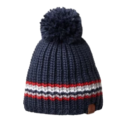 Ariat Salem Beanie Team Stripe 10033347